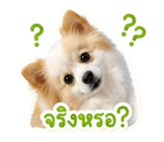 878599769