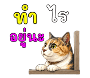 878602318