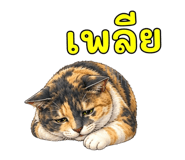 878602320