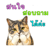 878602325