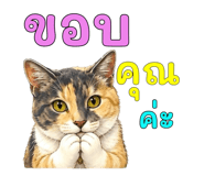 878602332