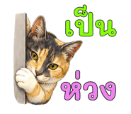 878602333