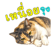 878602340