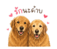 878611604