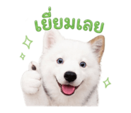 878612922