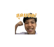 878621393