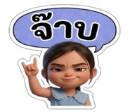 878627080