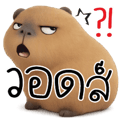 878632978