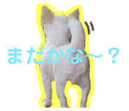 878640405