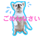 878640407