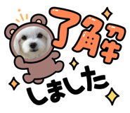 878640992
