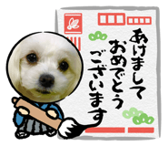 878641004