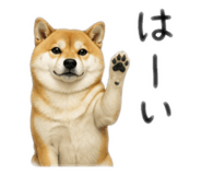 878641057