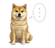 878641062