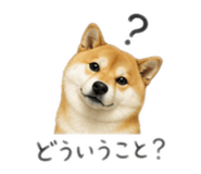 878641063