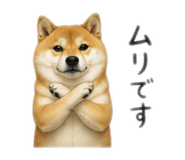 878641067