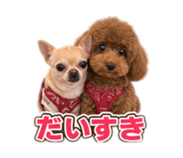 878641097