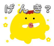 878641162