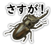 878641844