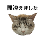 878642644