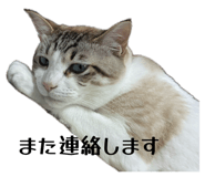 878642651