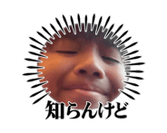 878645183