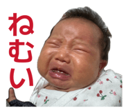 878645648