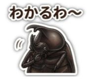 878645940