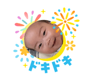 878646461