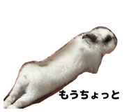 878646605