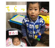 878647336