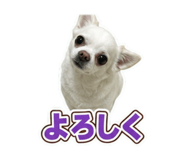 878647403