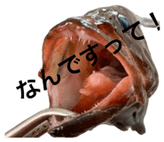 878648196