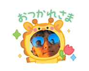 878648290