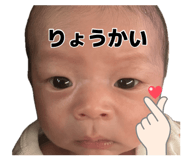 878650225