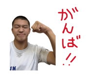 878650386