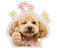 878657146
