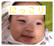 878657988