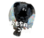 878660143