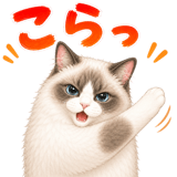 878660818
