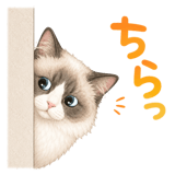 878660820