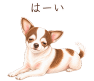 878663790
