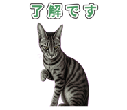 878664420