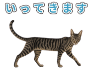 878664424