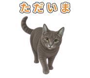 878664425