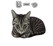 878664429