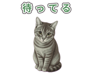 878664430