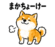 878669806