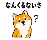 878669807