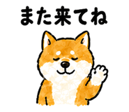 878669812